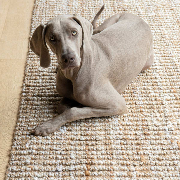 A dog lying on a hand knotted textural jute floor rug, in a light natural beige.