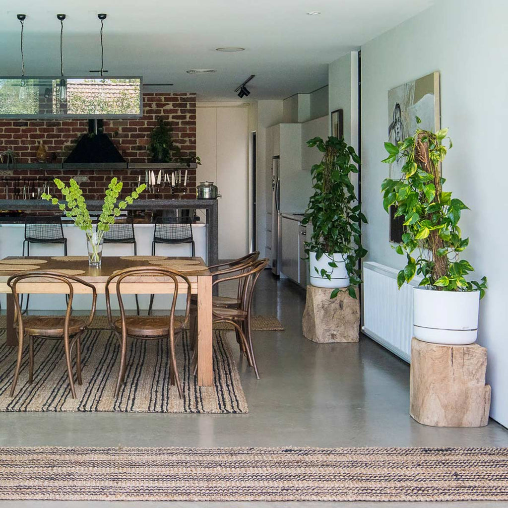 A dining room and kitchen with two natural fibre jute rugs, a runner and a floor rug, both hand knotted with durable materials and with natural brown and black stripes.