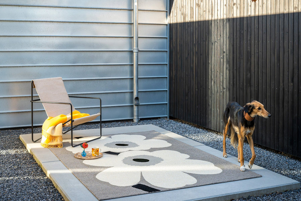 Dog standing on a patio with a modern chair and Marimekko Unikko designer outdoor rug.