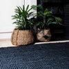 A pair of houseplants atop a large black jute floor rug handwoven in a textured boucle style. 