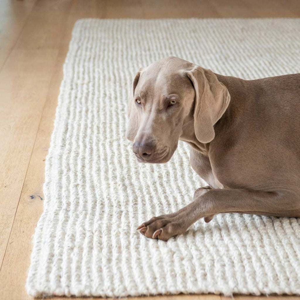A dog lying on a white boucle floor rug made with natural jute fibres. 